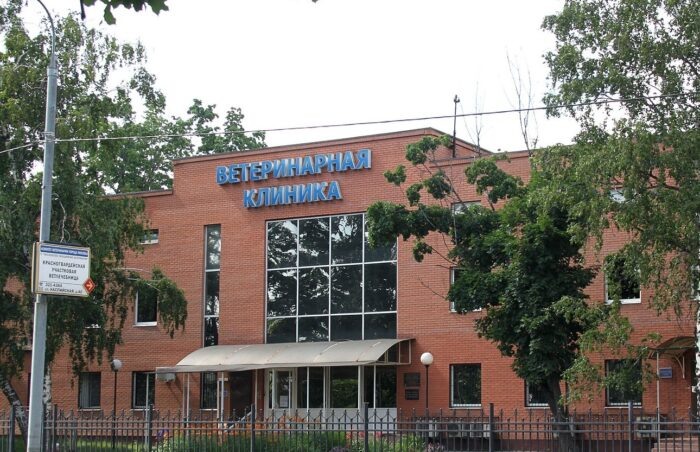    Фото: Википедия.