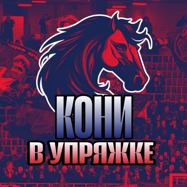 Нашему каналу сегодня 2 года!❤️💙Просто хотим сказать вам огромное спасибо за поддержку э!#ЦВБП @Konivuprazke