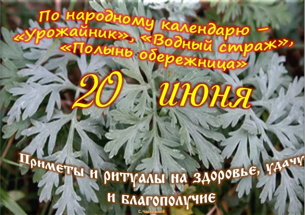Встречаем новый день