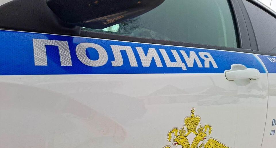    «Подмосковье сегодня»/Юлия Габбасова