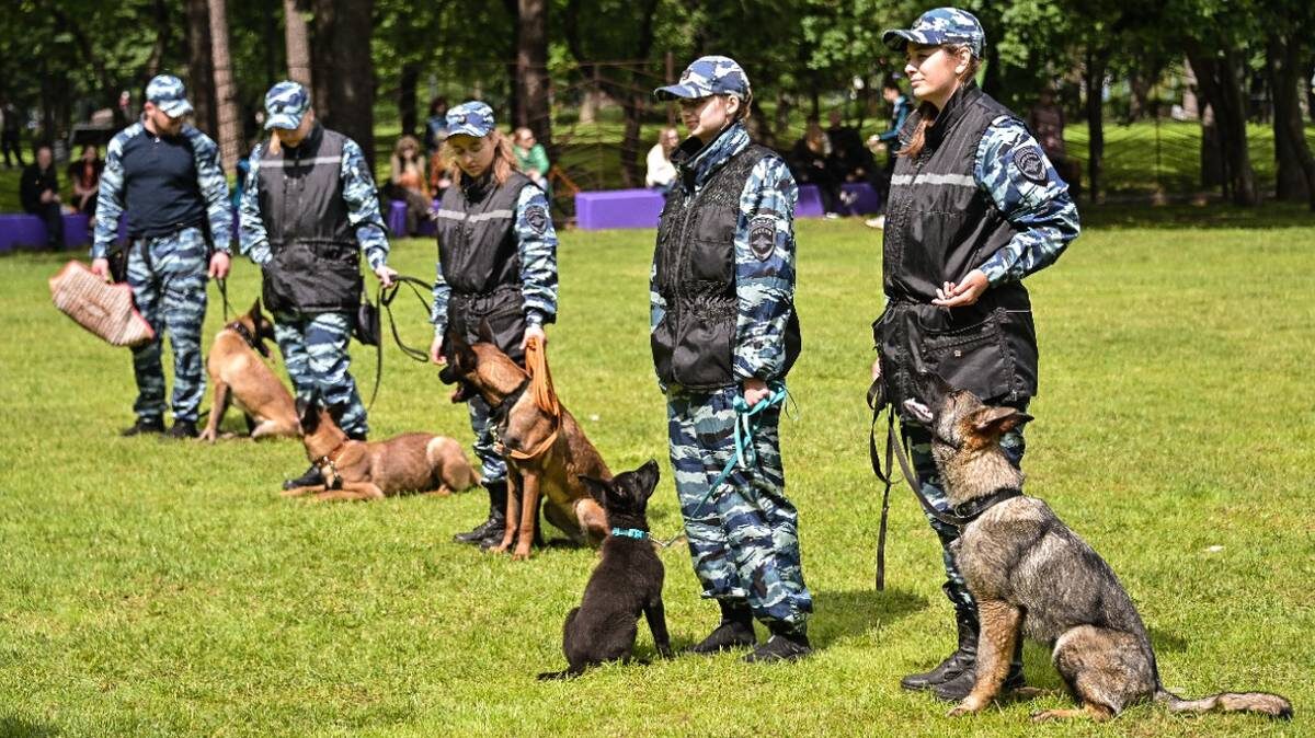    Фото: Пресс-служба АНО «Комплексное развитие района «Мой район»
