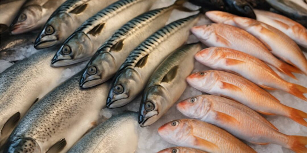 Рыба дорожает: импорт замороженной продукции в Грузию увеличился на 30%