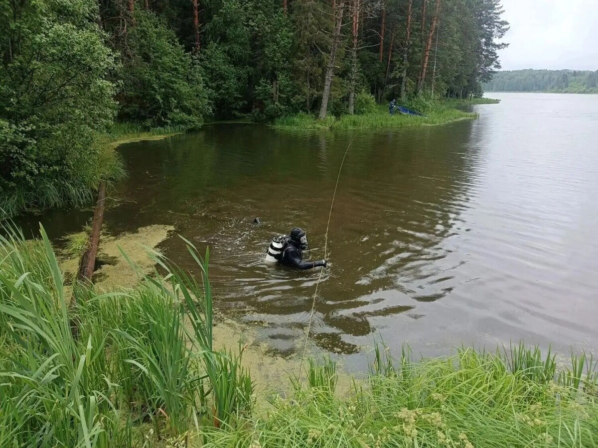   ГК по делам ГО и ЧС Удмуртии