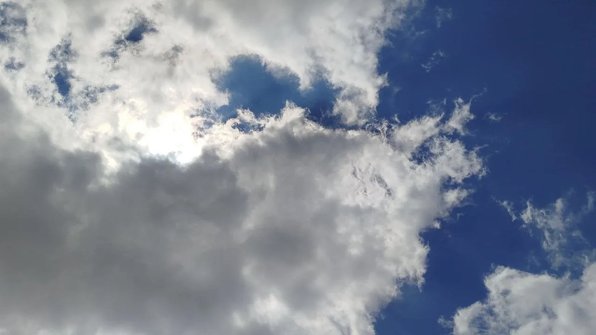    Фото: телеканал «Краснодар»