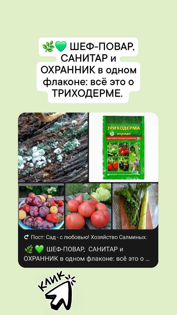 Триходерма 