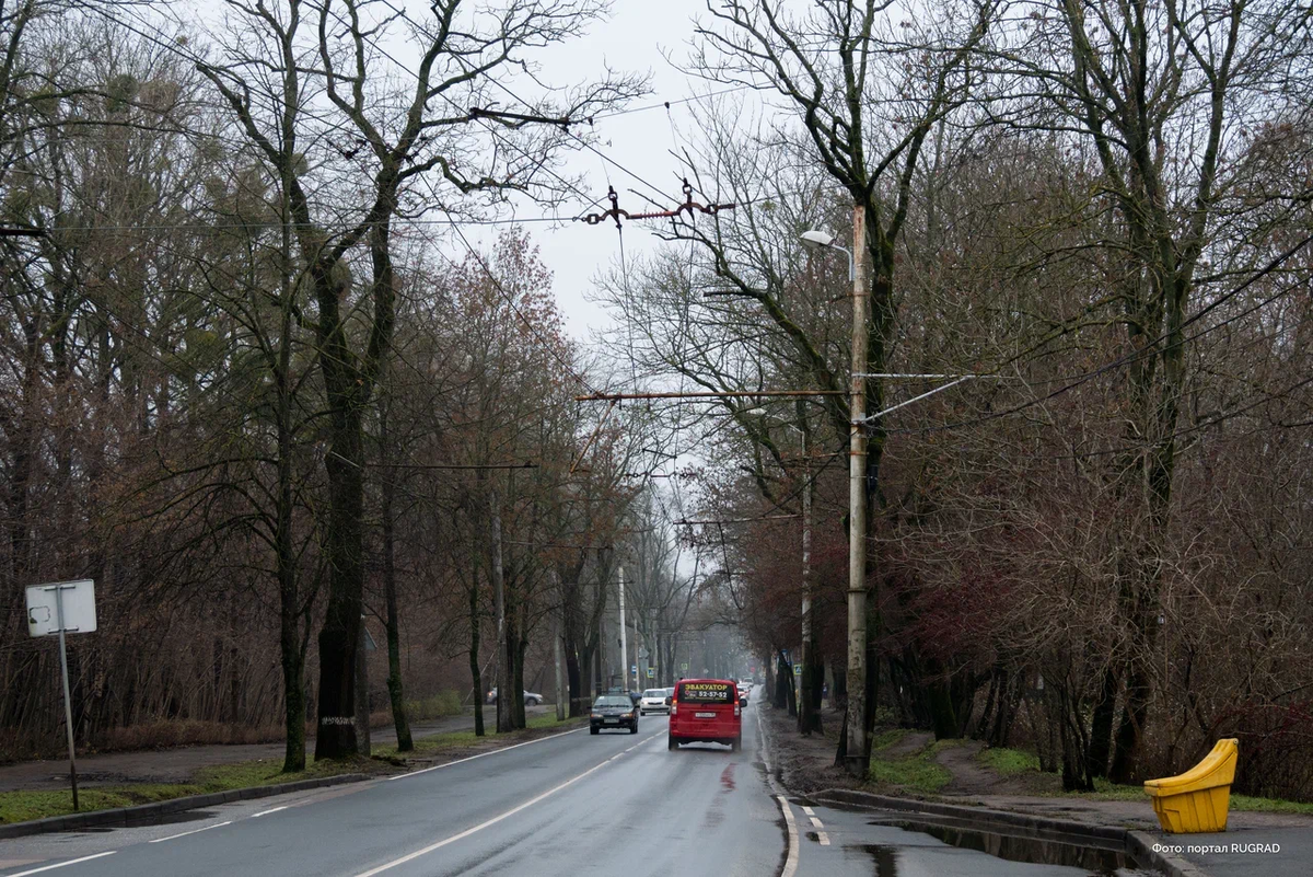 Фото rugrad