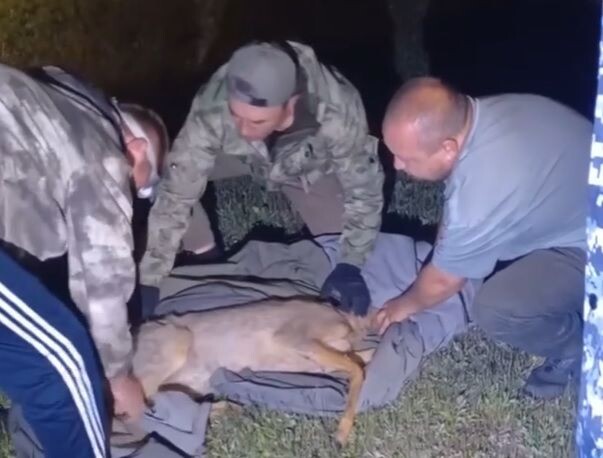    Фото: Пресс-служба Сохондинского заповедника