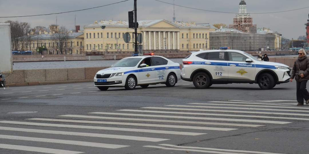 В Петербурге задержаны молодые люди, которые избивали прохожих