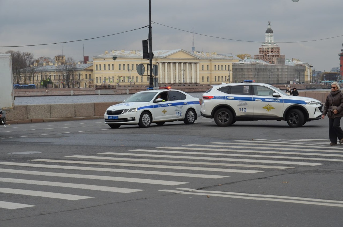 Задержанные нападали на людей по мотивам политической, идеологической, расовой, национальной и религиозной ненависти или вражды.  Фото: https://fedpress.ru/news/77/incidents/3441106