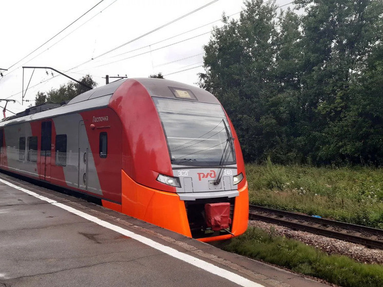     Ласточка отправится из Петербурга в 10:20. Фото: архив МК в Питере