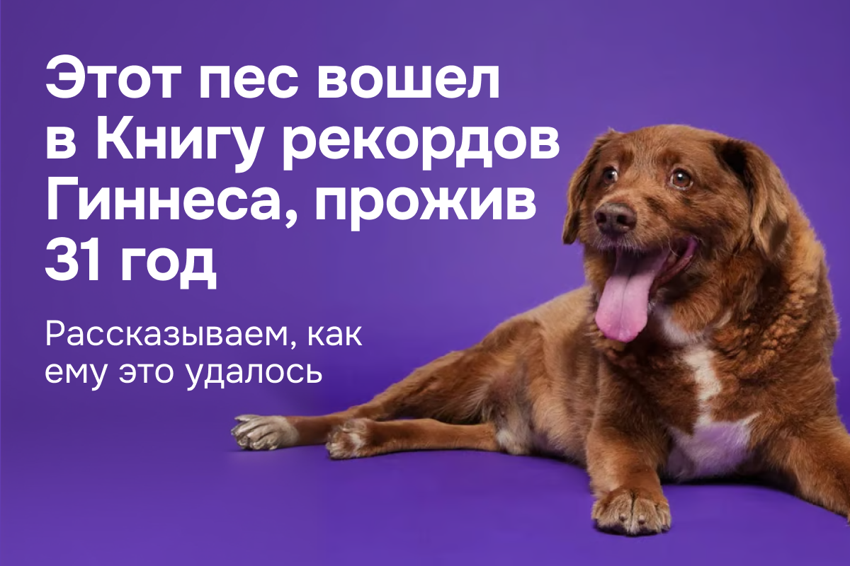 Чем объясняется этот феномен и что наука может сказать о механизмах долгожительства?