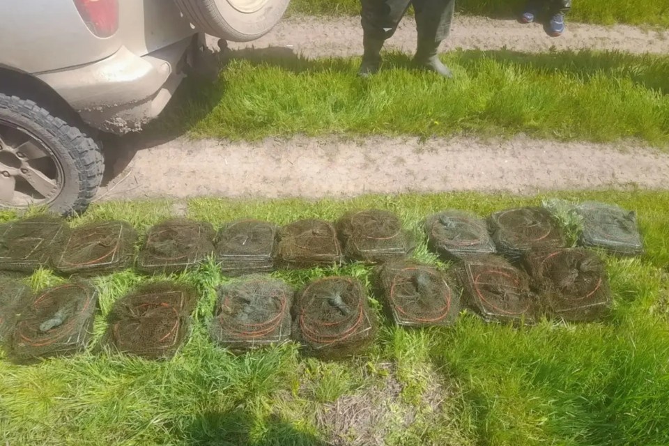    Суд назначил нарушителю штраф в размере 300 тысяч рублей. Фото: прокуратура Оренбуржья