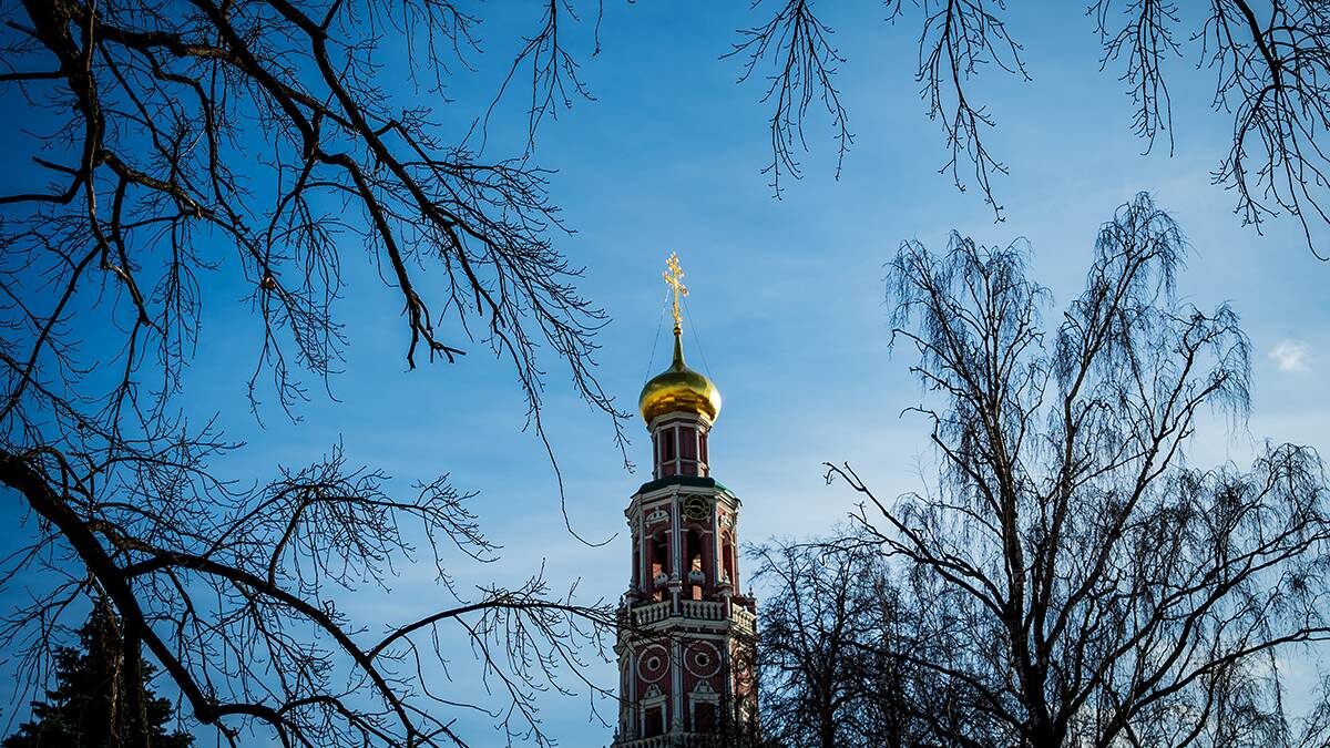    Фото: Дмитрий Дубинский / Вечерняя Москва