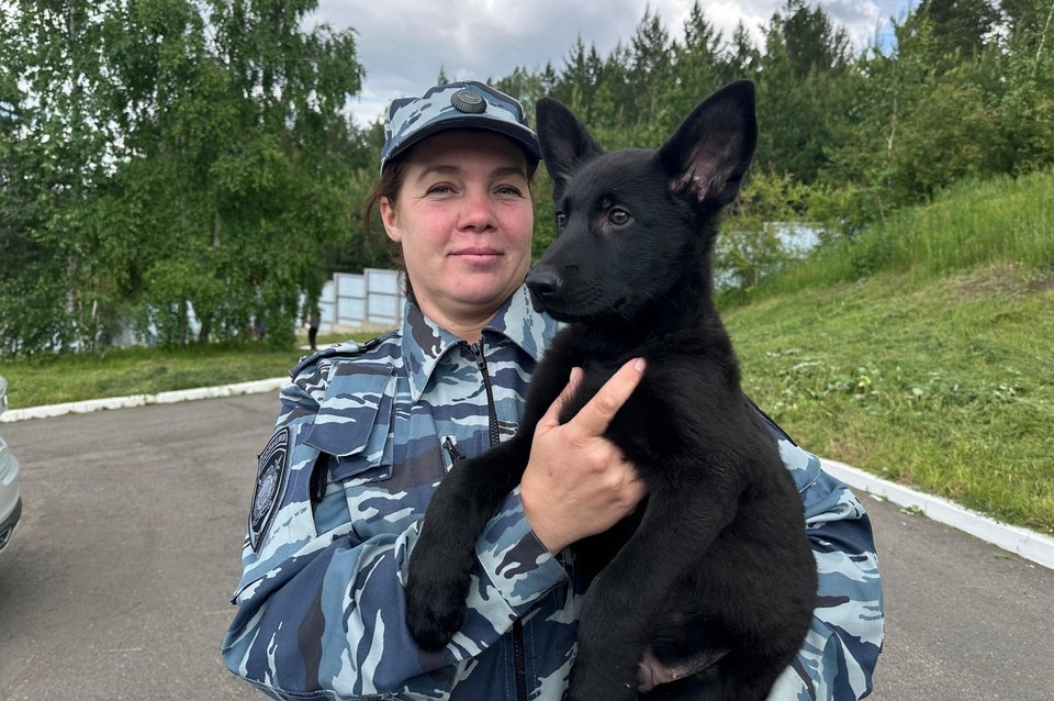   Кинолог Ольга Страшнова и малыш Брайт. Служебному щенку 2,5 месяца. Анастасия КУРЕНОВА