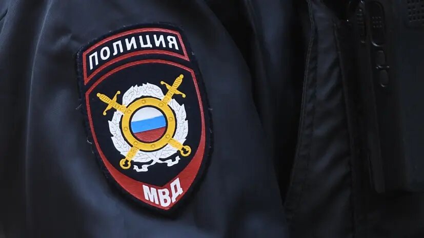    Источник: russian.rt.com Полина Потапова