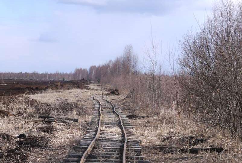 "Если рассудок и жизнь дороги Вам, держитесь подальше от торфяных болот..."