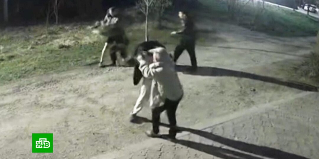 К делу об избиении школьника в подмосковном СНТ подключились прокуроры