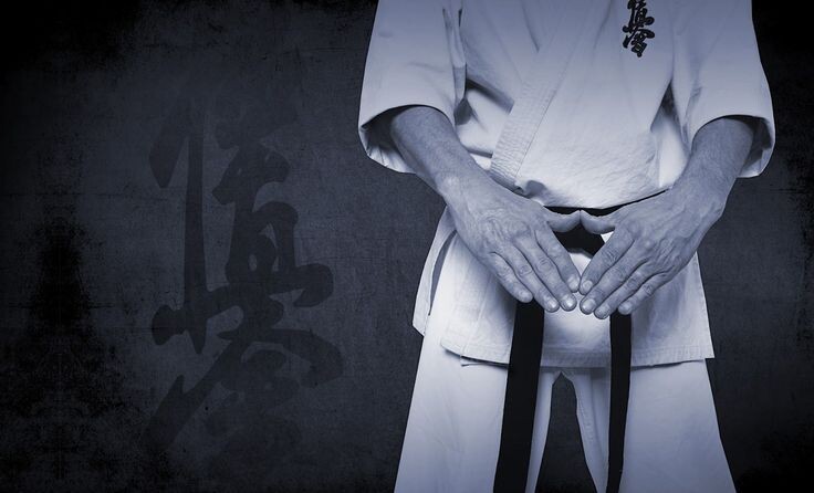 Киокушинкай – абсолютная истина. 8 аргументов, с которыми невозможно спорить