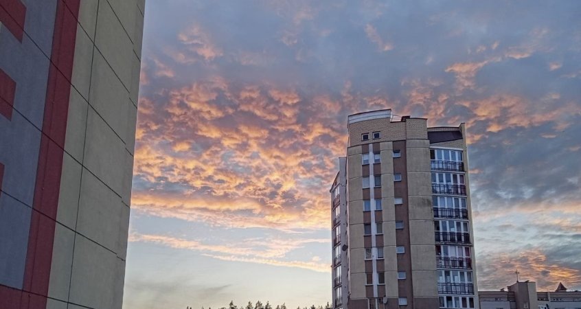    Жара до +33°С против циклона: Беларусь ждут погодные качели 20-21 июня