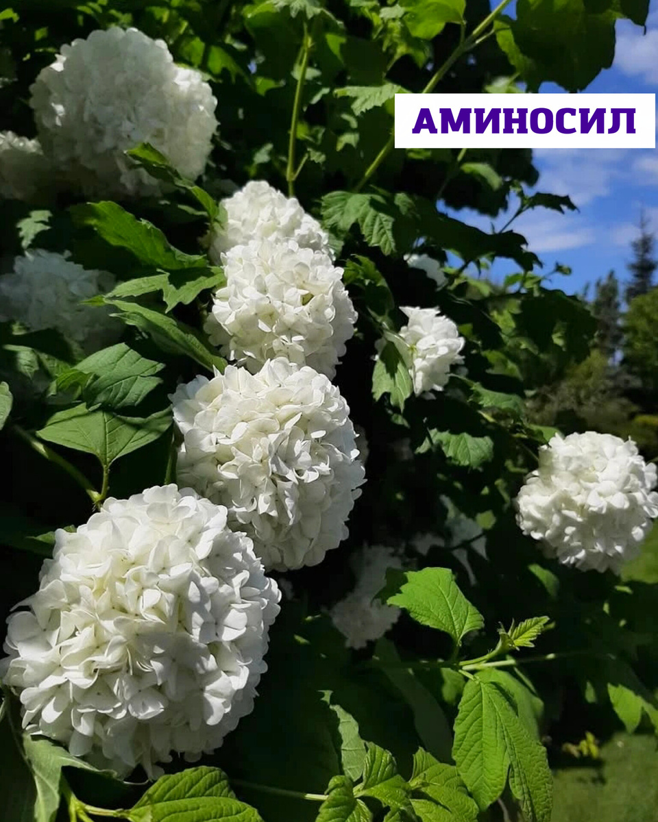 -2-2