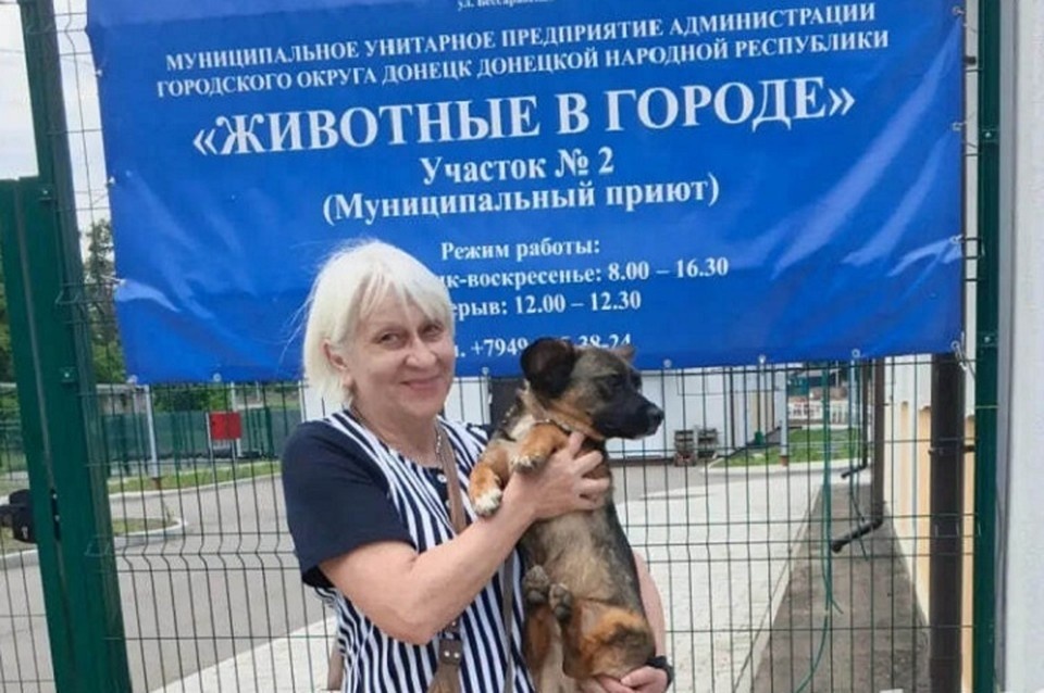    За последнее время 8 питомцев приюта обрели новый дом и теперь живут в любящих семьях. Фото: Администрация Донецка