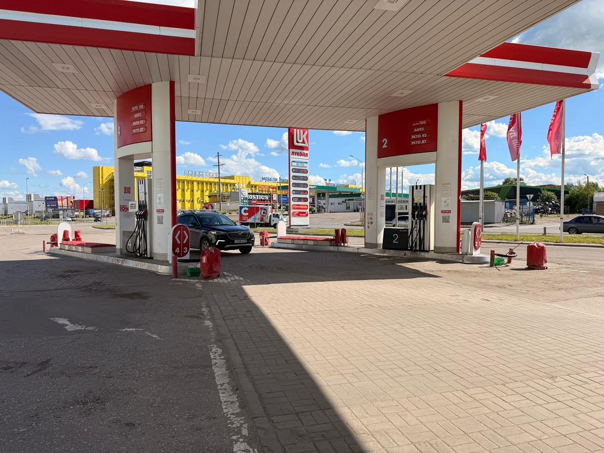 фото из интернета