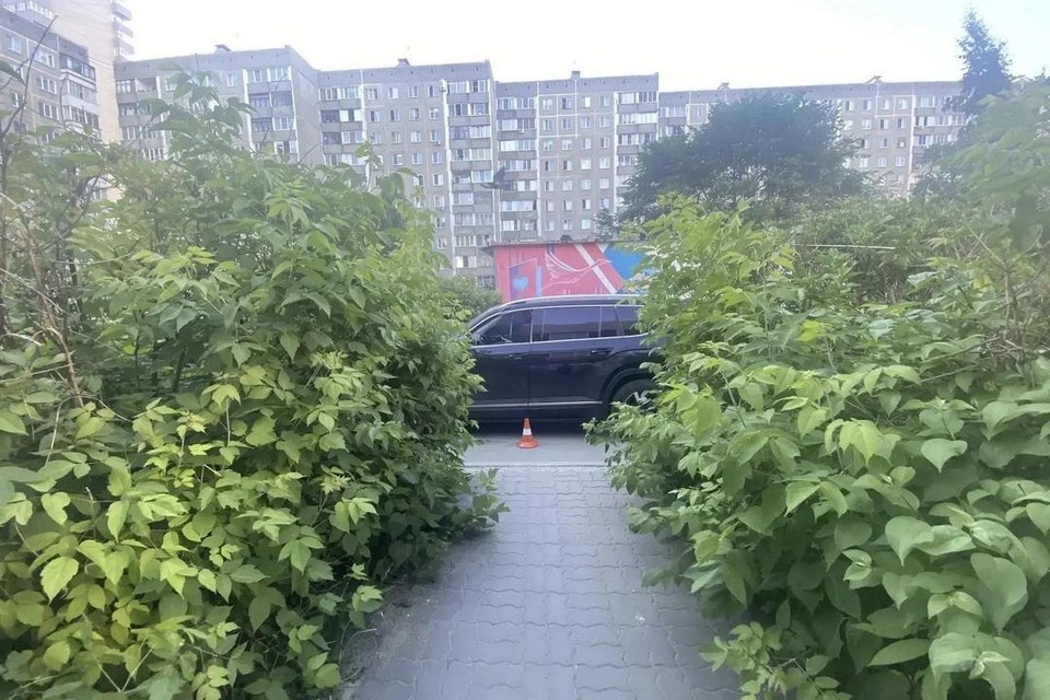   В Калининском районе водитель сбил мальчика на самокате. Фото: ГАИ Новосибирска