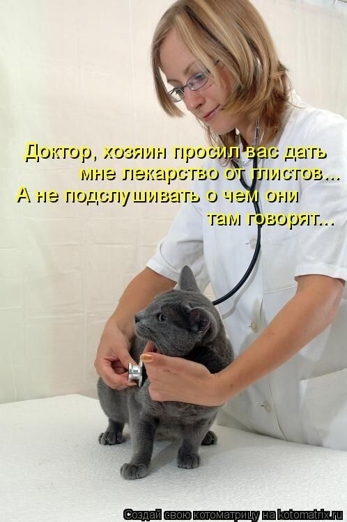 На маму Бусю кошечка похожа!