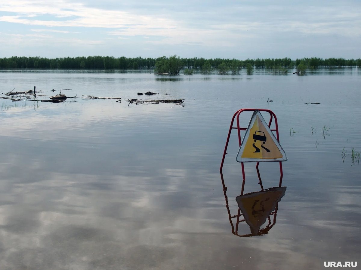     Уровень воды в Оби в районе Нижневартовска может подняться до 1000 см