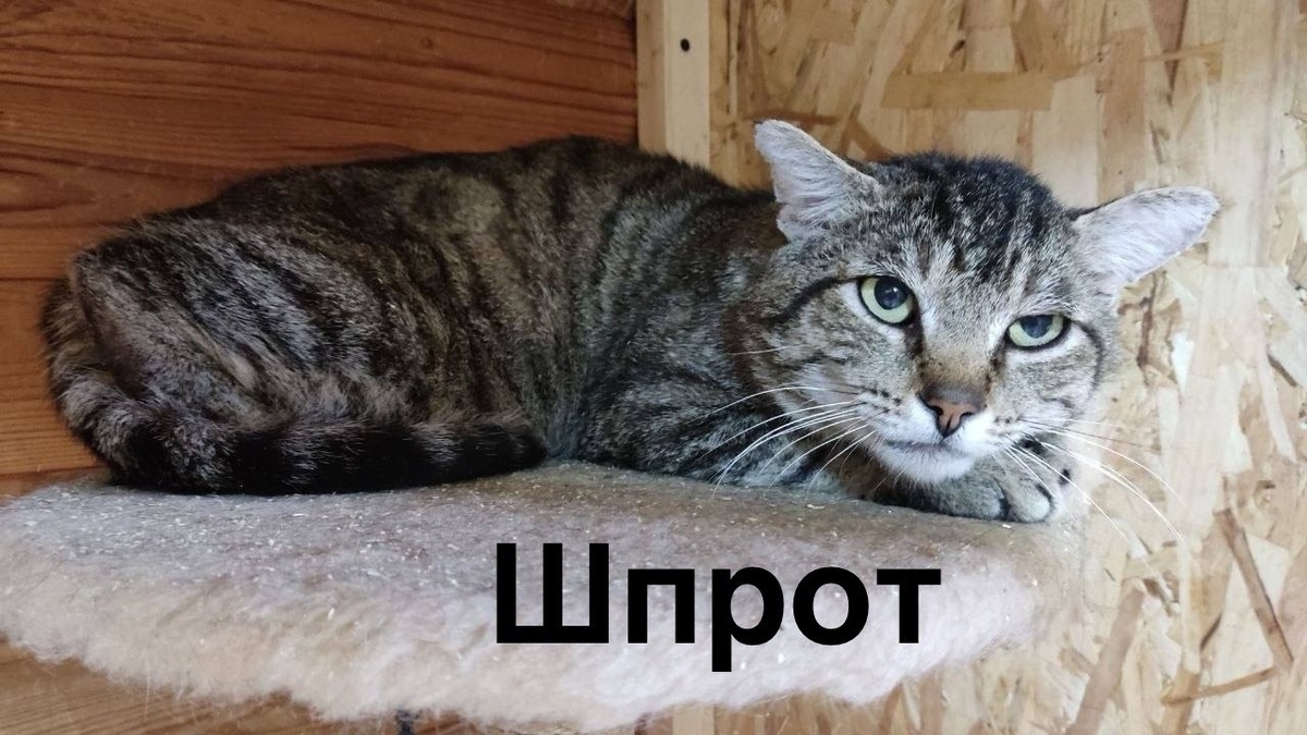 Никого не напоминает?