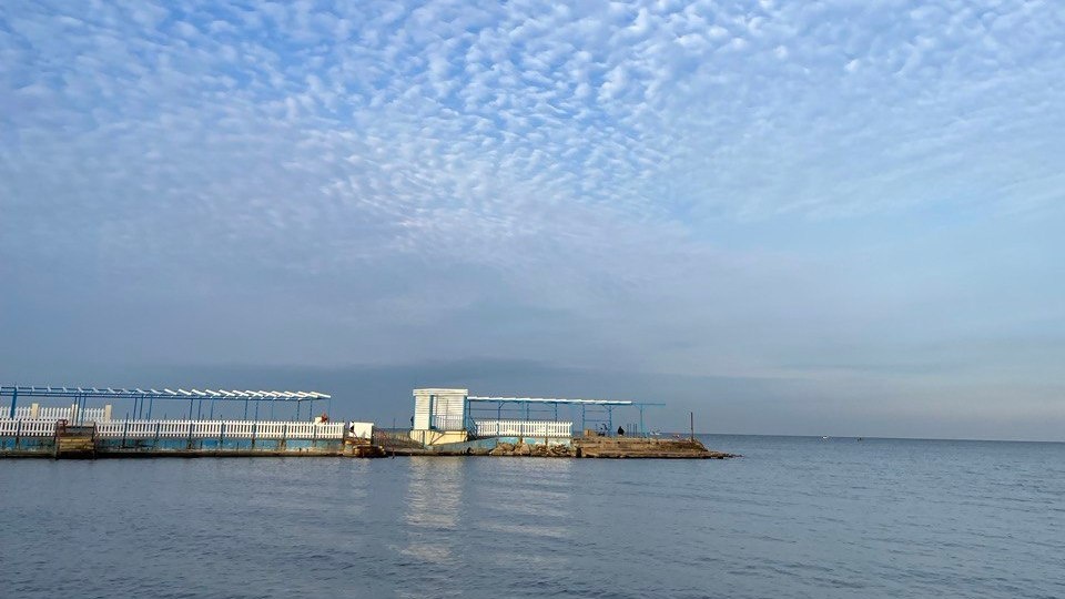    фото: «Деловая газета.Юг»