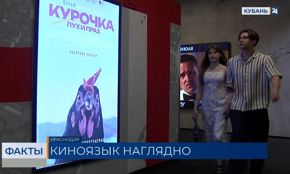    Скриншот видео телеканала «Кубань 24»