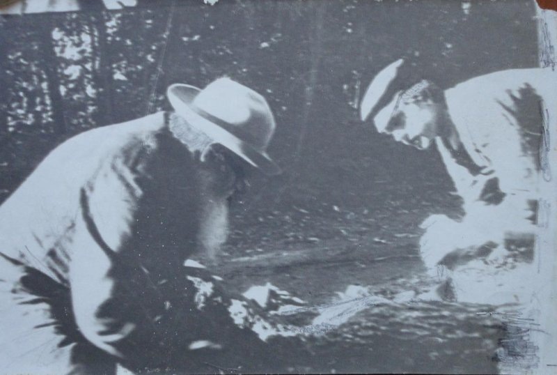 Л.Н. Толстой пилит бревно с крестьянином, 1910 г. Государственный музей-заповедник Л.Н. Толстого