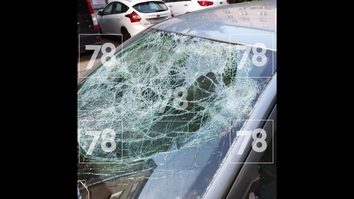    Фото: 78.ru