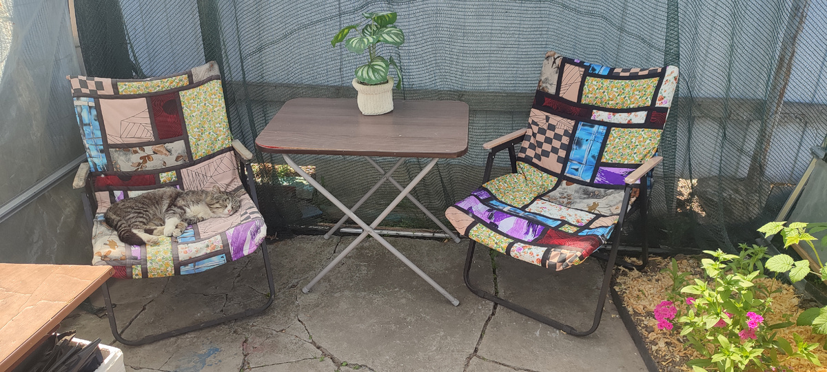 Мы с Артёмкой "поделили" стулья в беседке 😁. Он всегда отдыхает на левом, а я на первом 😊. 