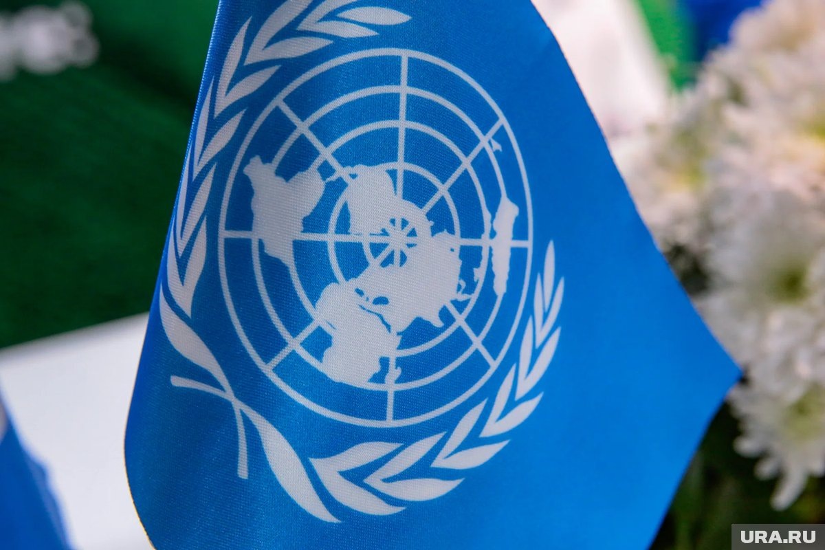     В ООН высказались об одном украинском законе