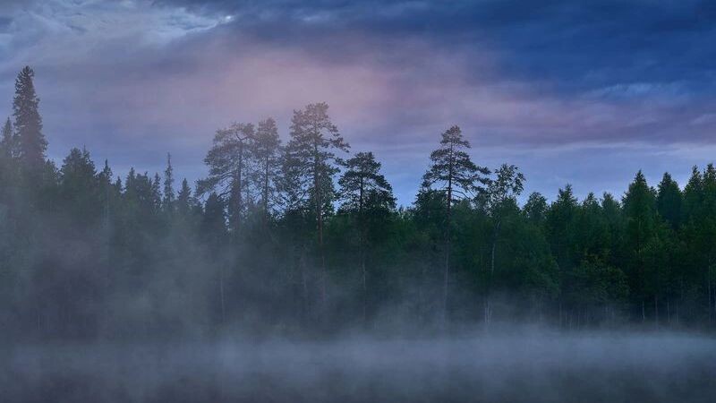    Фото: Ondrej Prosicky/Shutterstock/Fotodom