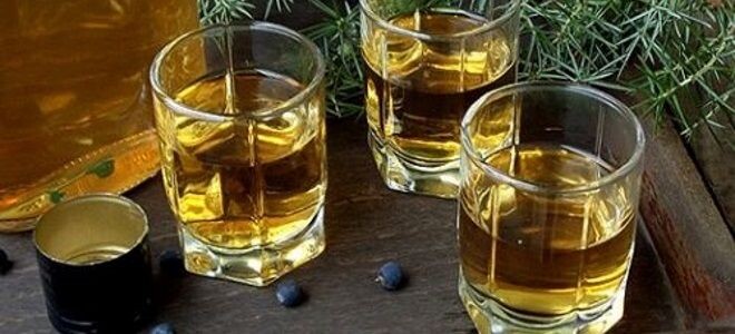 Настойка из самогона на можжевельнике: домашний джин без перегонки