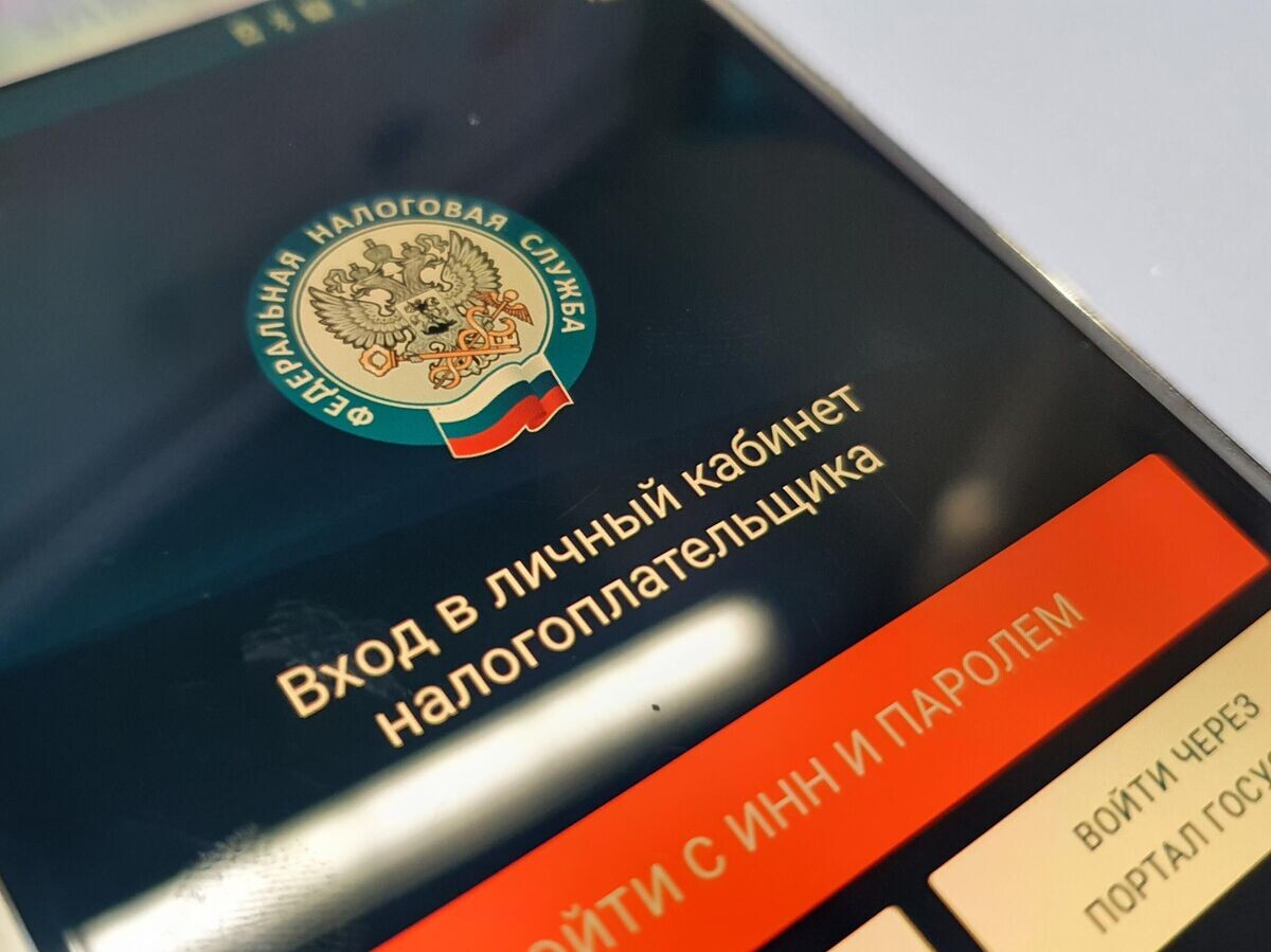    Приложение "Налоги ФЛ"© РИА Новости