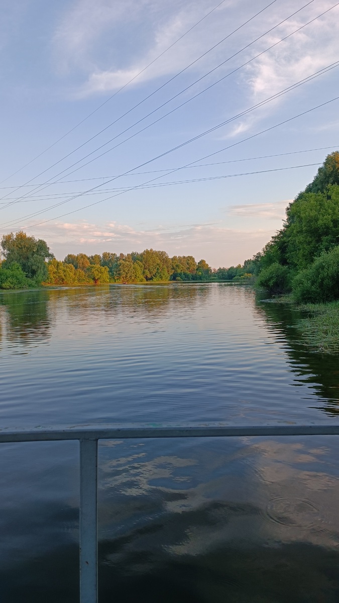 Река Ворона, старое русло. 
