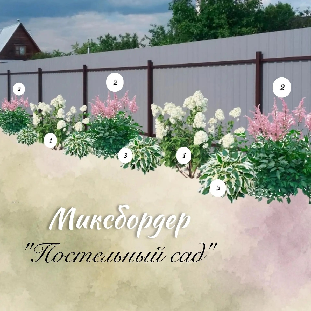 1 - Гортензия; 2 - Астильба; 3 - Хоста. 