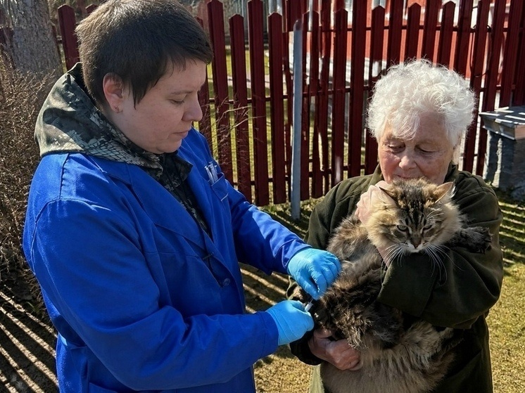     Фото службы ветеринарии Ивановской области