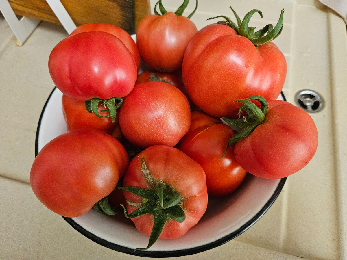 Помидоры вкусные и ароматные
