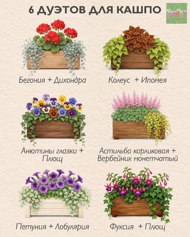 https://i.pinimg.com/736x/e1/91/95/e191950ec3daa130b54368a87a05ec08.jpg