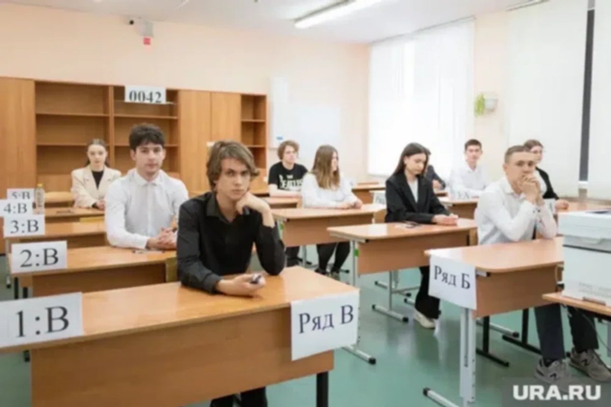     Результаты ЕГЭ начинают приходить выпускникам