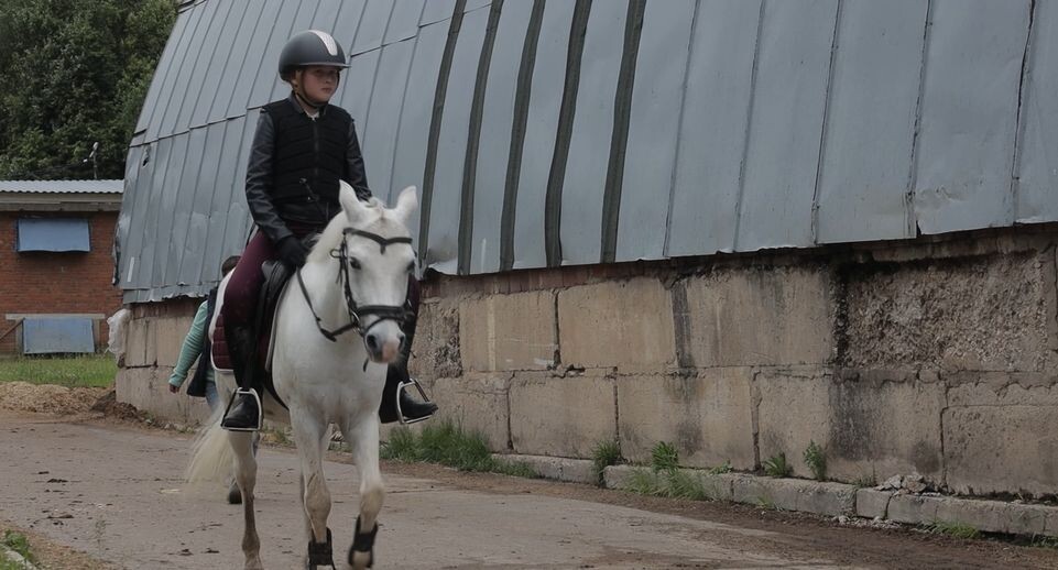   МедиаБанк Подмосковья/Иван Чижов