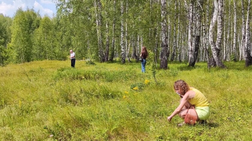    Фото prochepetsk.ru