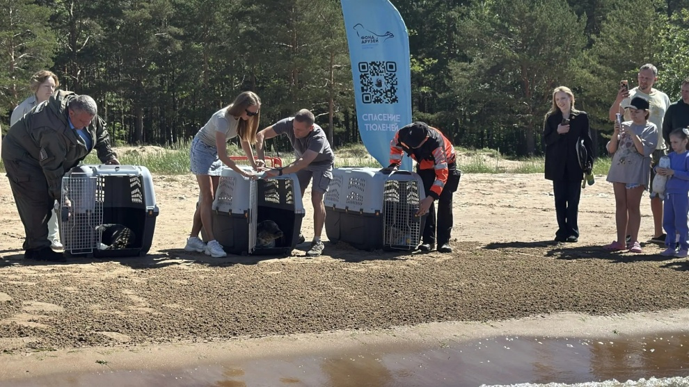    Фото: https://www.gov.spb.ru/press/governor/317427/