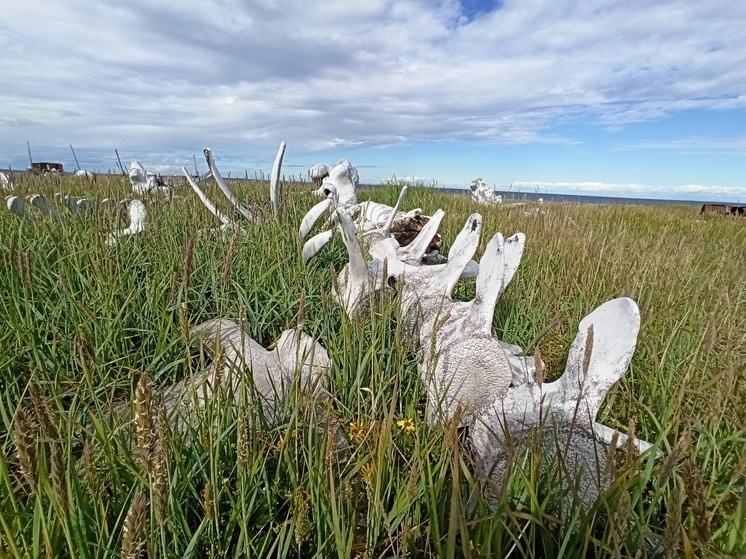     Фото Дарья Федотова