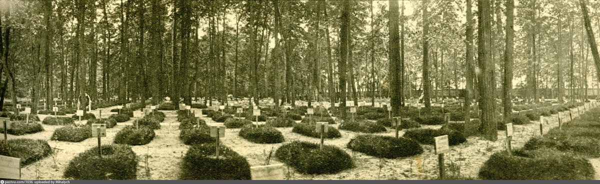 Братское кладбище, 1915. С сайта www.pastvu.com.